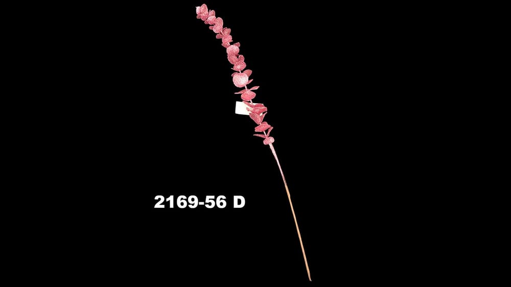 Vara de dólar artificial con diamantina. Mide 65 cm D