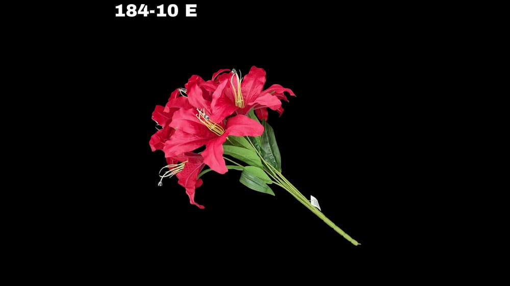 Ramo grande lily / casablanca *7 Mide 58 cm E