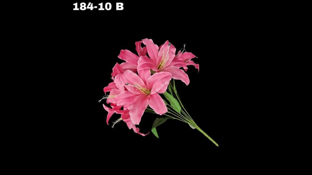 Ramo grande lily / casablanca *7 Mide 58 cm B