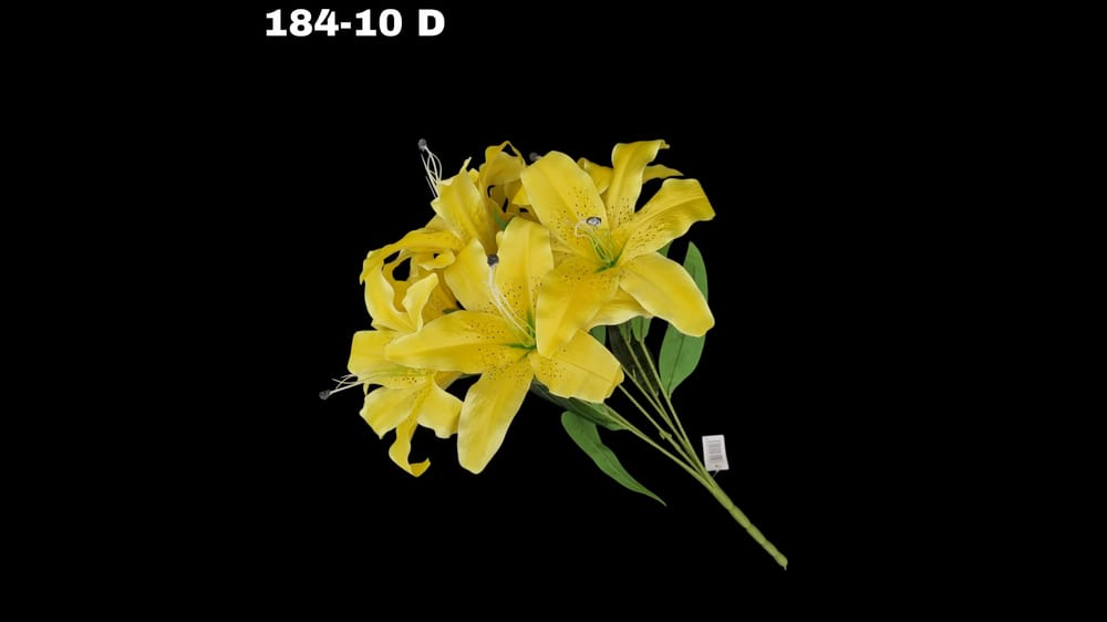 Ramo grande lily / casablanca *7 Mide 58 cm D