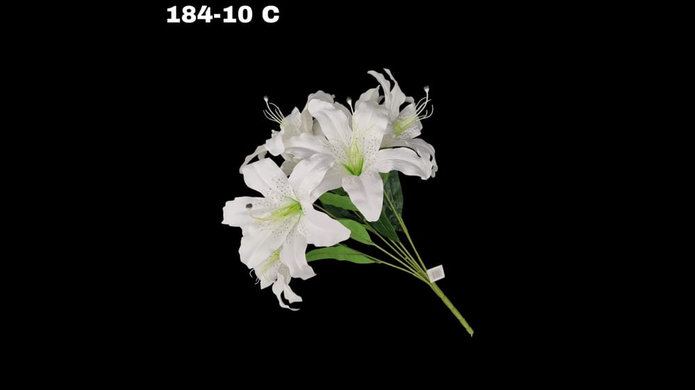 Ramo grande lily / casablanca *7 Mide 58 cm C