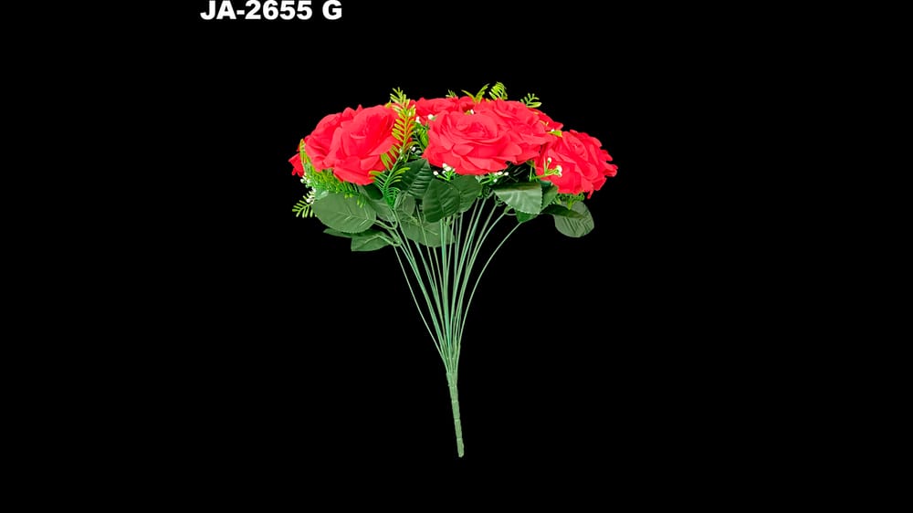 Bouquet de rosa *24 con helechos G