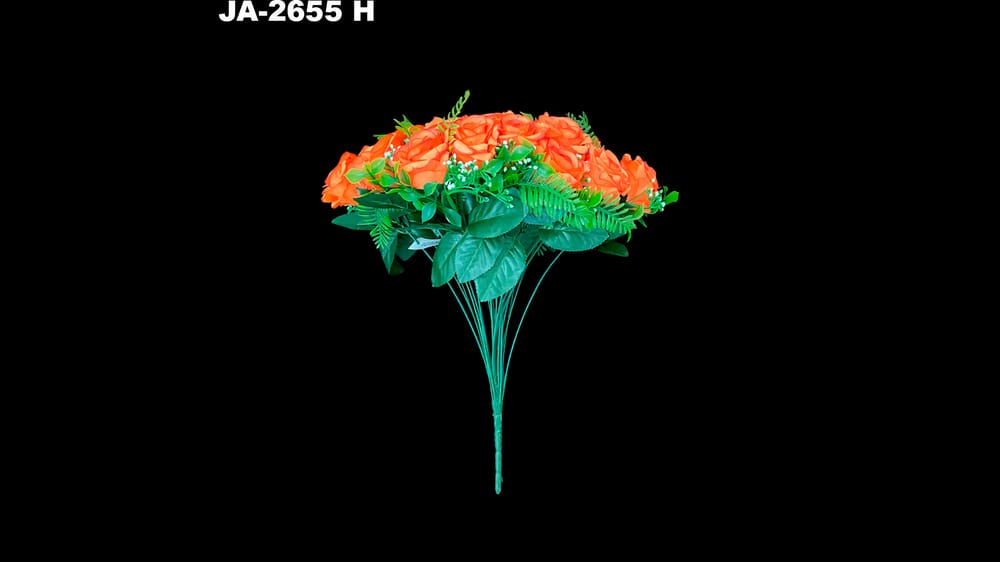 Bouquet de rosa *24 con helechos H