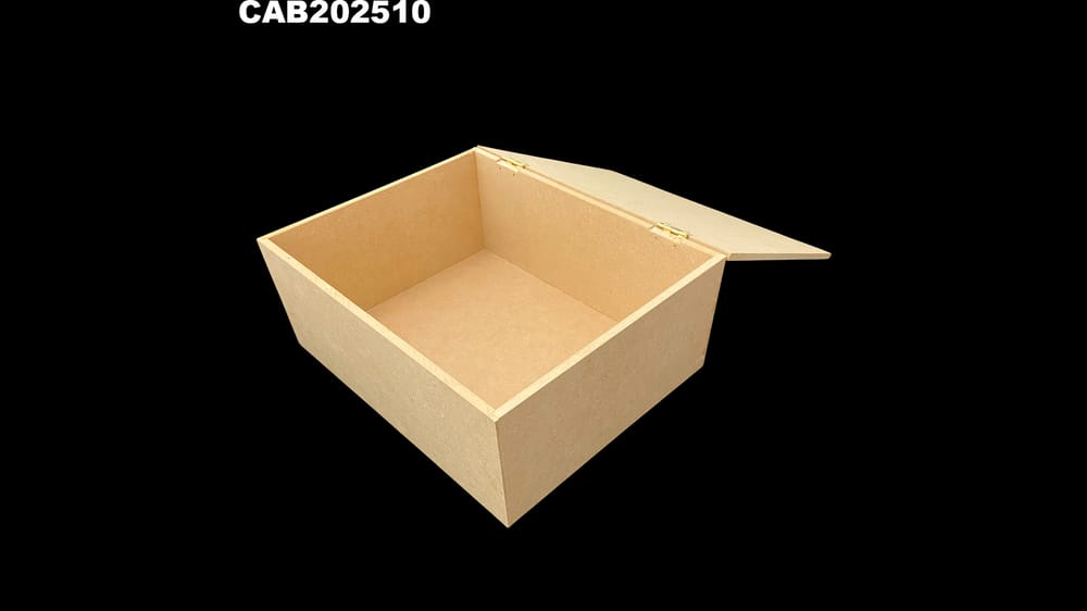 caja con bisagra 20*25+10 