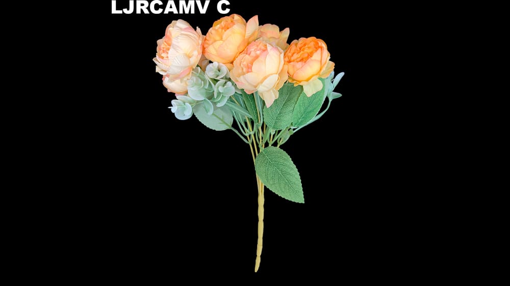 Ramito Camelia vintage *6 C
