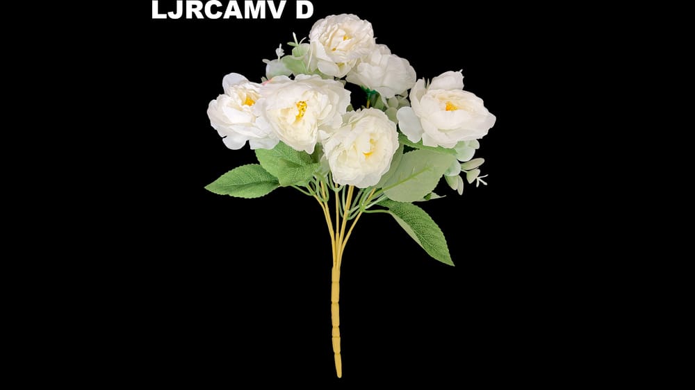 Ramito Camelia vintage *6 D