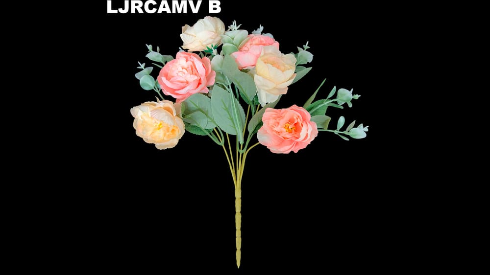 Ramito Camelia vintage *6 B