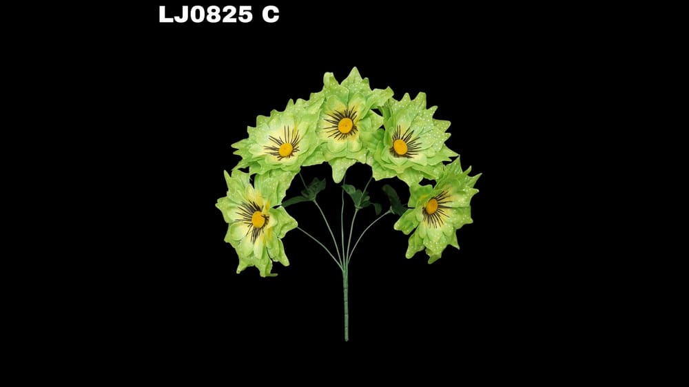 Ramo de dhalia *5 picuda con pecas Flor de 7 cm C