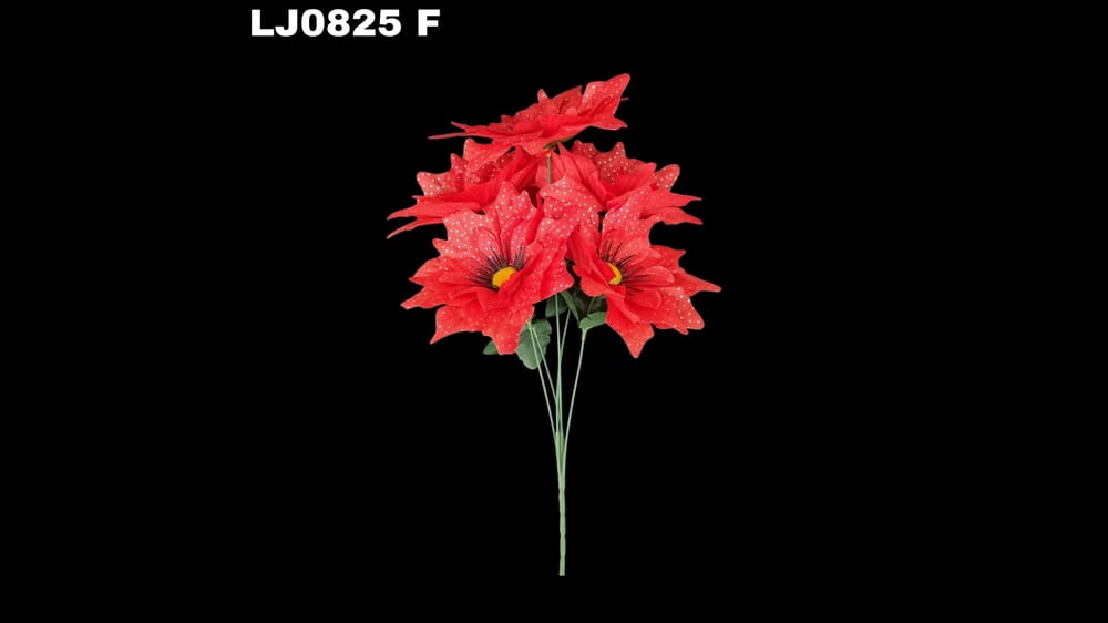 Ramo de dhalia *5 picuda con pecas Flor de 7 cm F