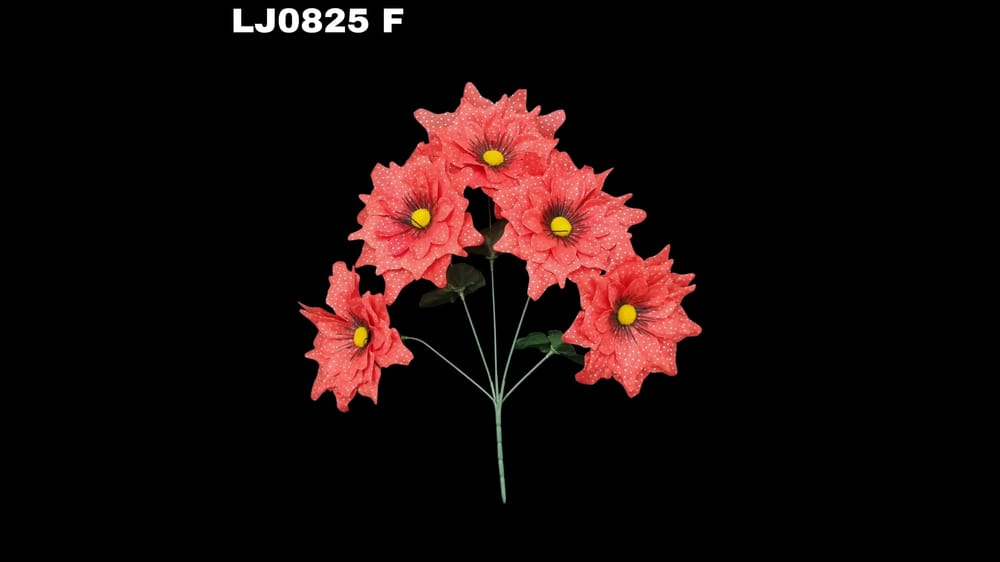 Ramo de dhalia *5 picuda con pecas Flor de 7 cm F