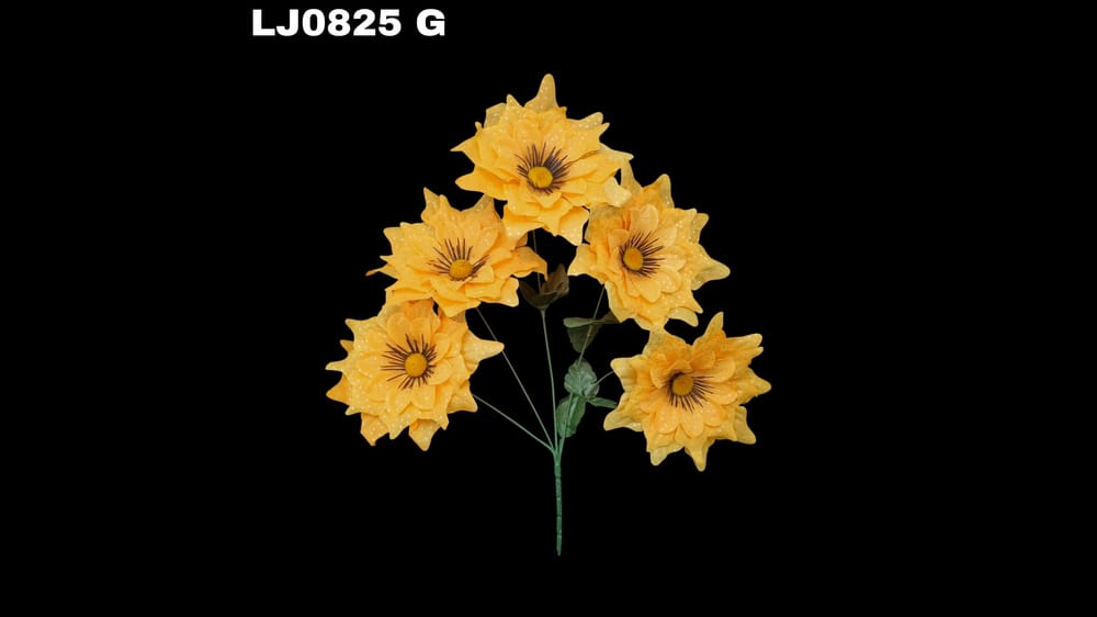 Ramo de dhalia *5 picuda con pecas Flor de 7 cm G