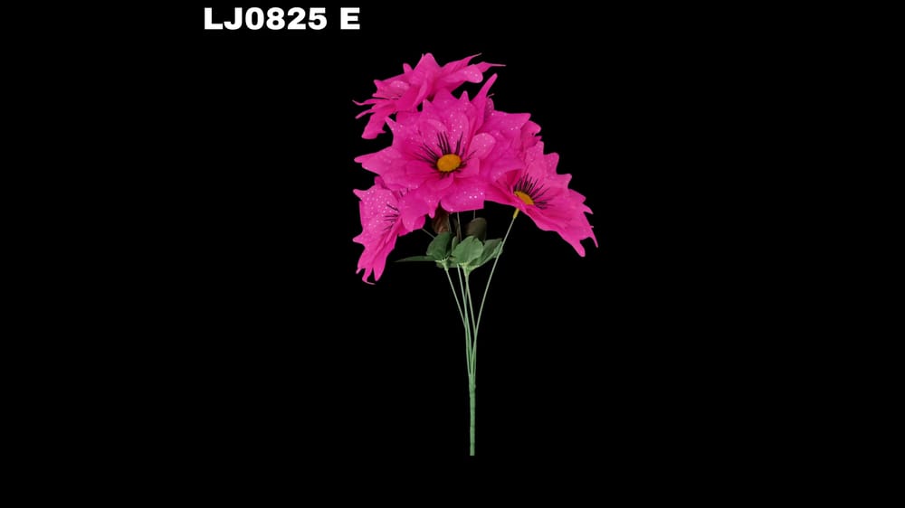 Ramo de dhalia *5 picuda con pecas Flor de 7 cm E