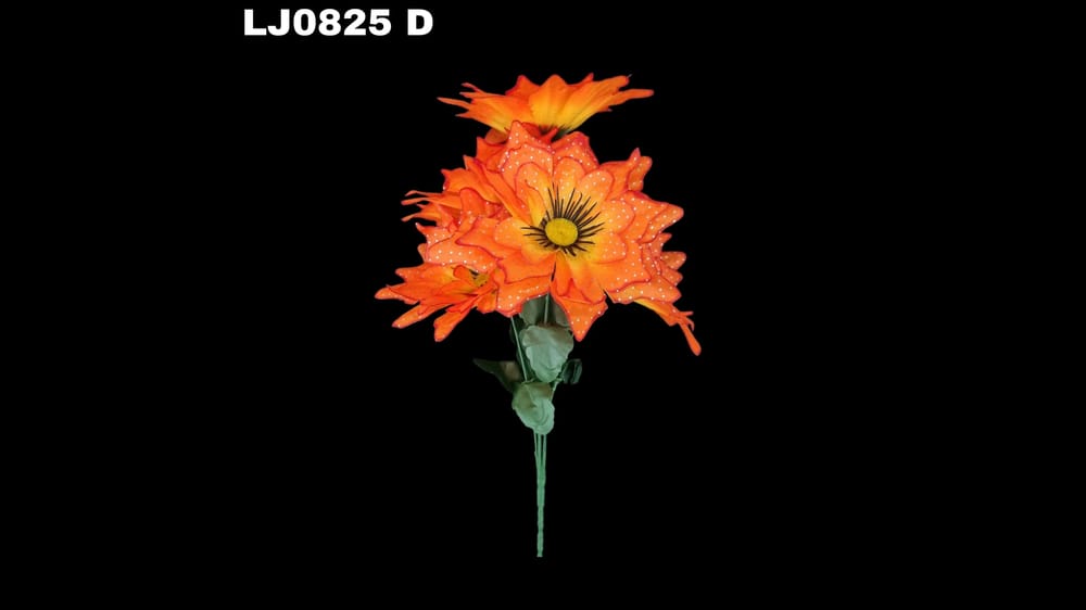 Ramo de dhalia *5 picuda con pecas Flor de 7 cm D