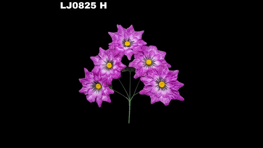 Ramo de dhalia *5 picuda con pecas Flor de 7 cm H