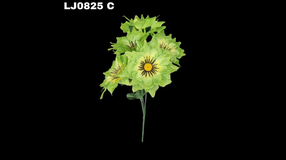 Ramo de dhalia *5 picuda con pecas Flor de 7 cm C