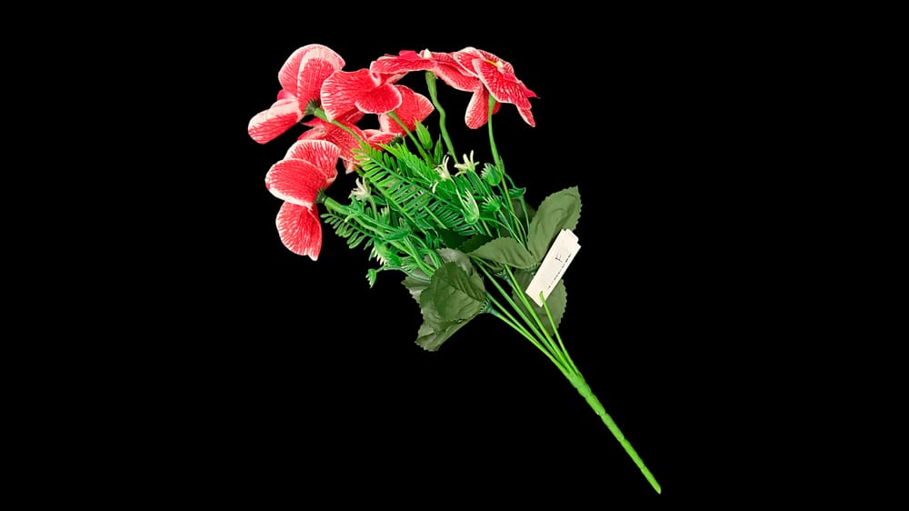 Ramo de orquidea con follaje F