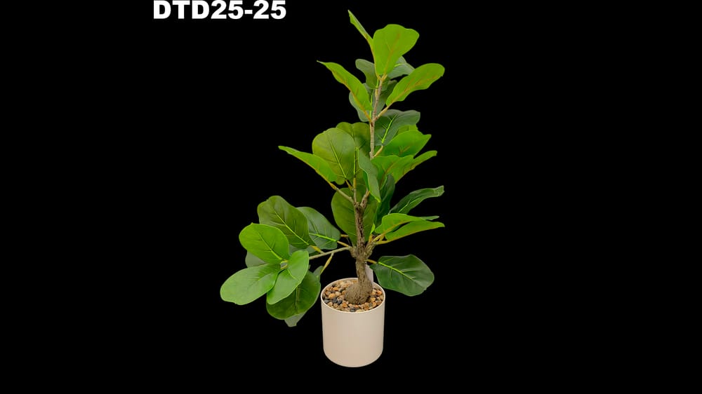 Planta pandura con base. 60 cm 