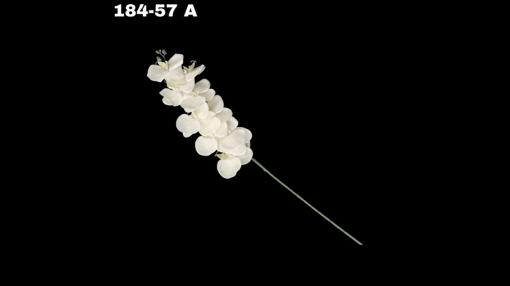 Vara de orquidea jumbo . 92 cm A