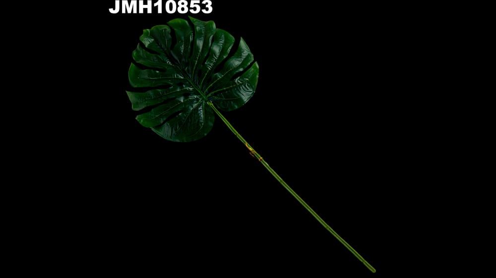 Vara de hoja de 30 cm monstera. Largo total 70 cm 