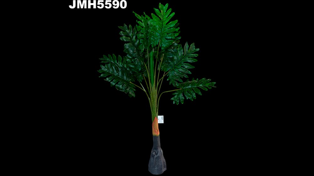 Planta hojas con base. Mide 1 metro 