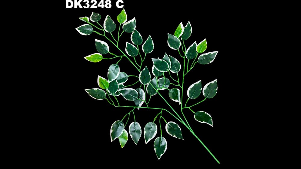 Ficus chico. Hoja de 6 cm  C PIEZA