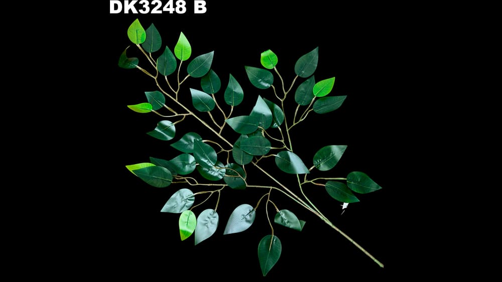 Ficus chico. Hoja de 6 cm  B PIEZA