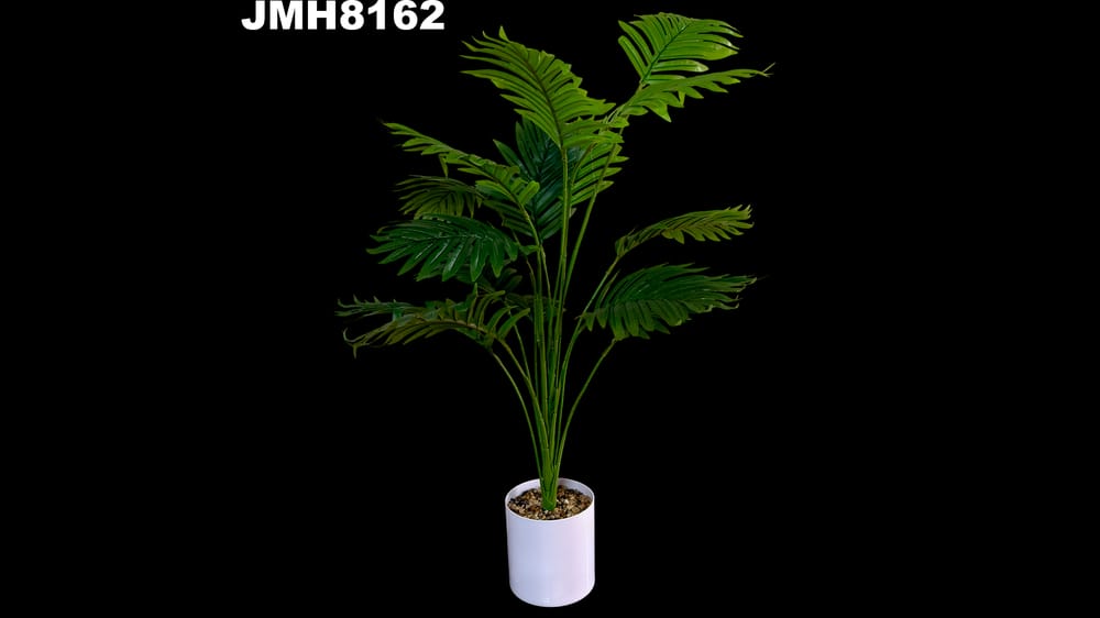 Planta palma areca con base.  80 cm 