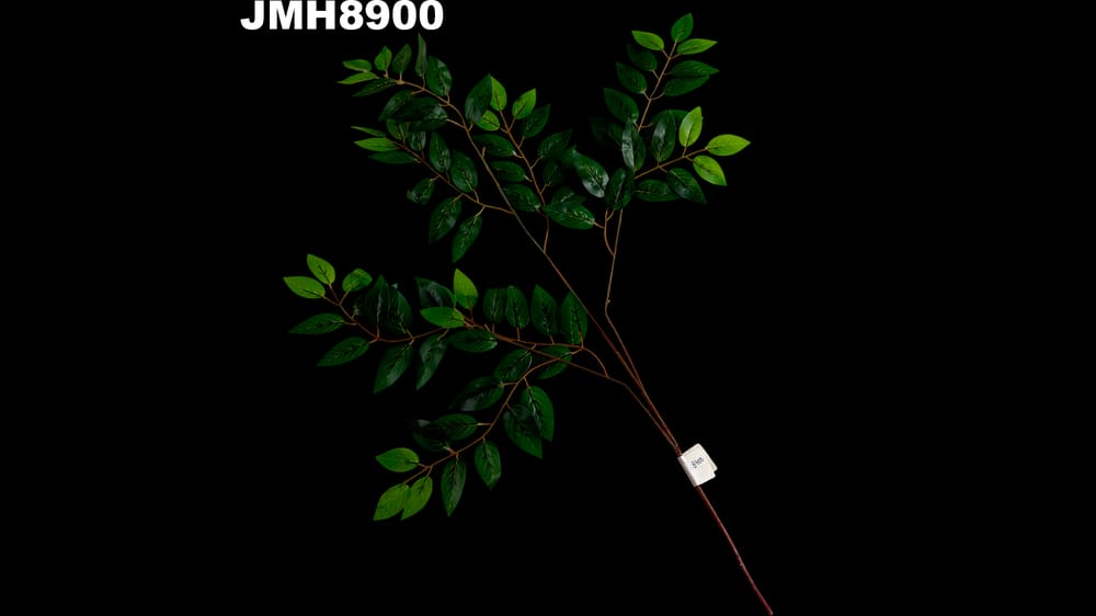 Vara de ficus hoja mini de 5 cm. Vara 55 cm (POR VARA) DOCENA