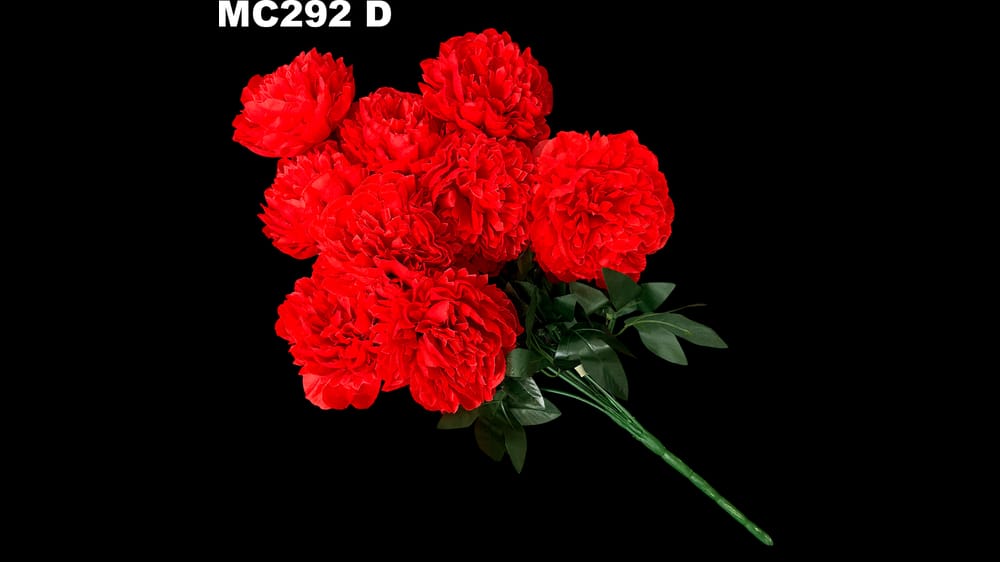 Ramo jumbo de peoni *9 Mide 71 cm D