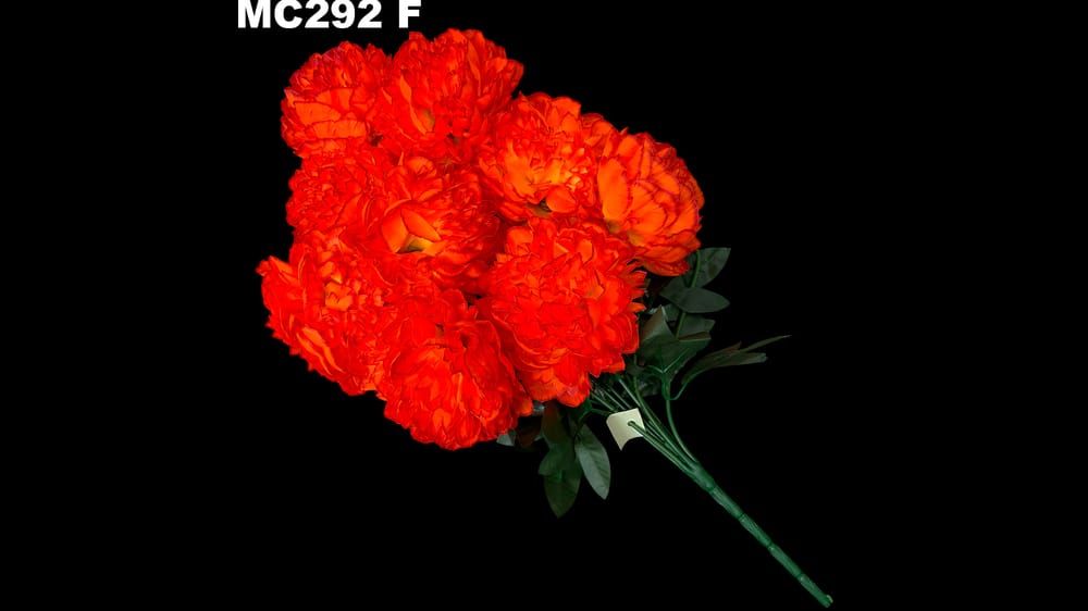 Ramo jumbo de peoni *9 Mide 71 cm F