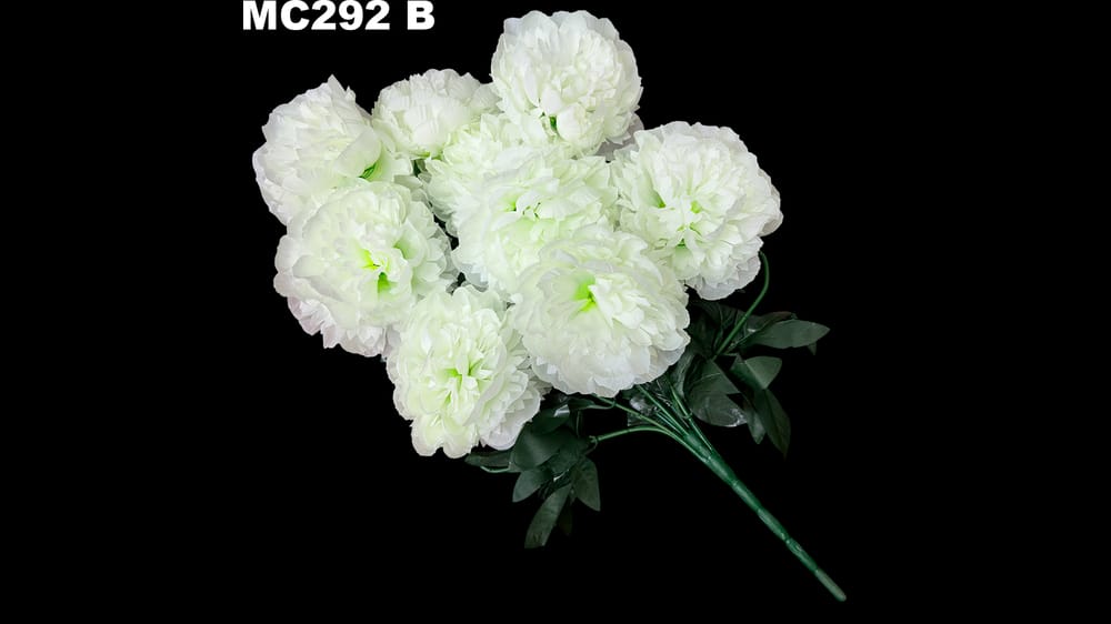 Ramo jumbo de peoni *9 Mide 71 cm B