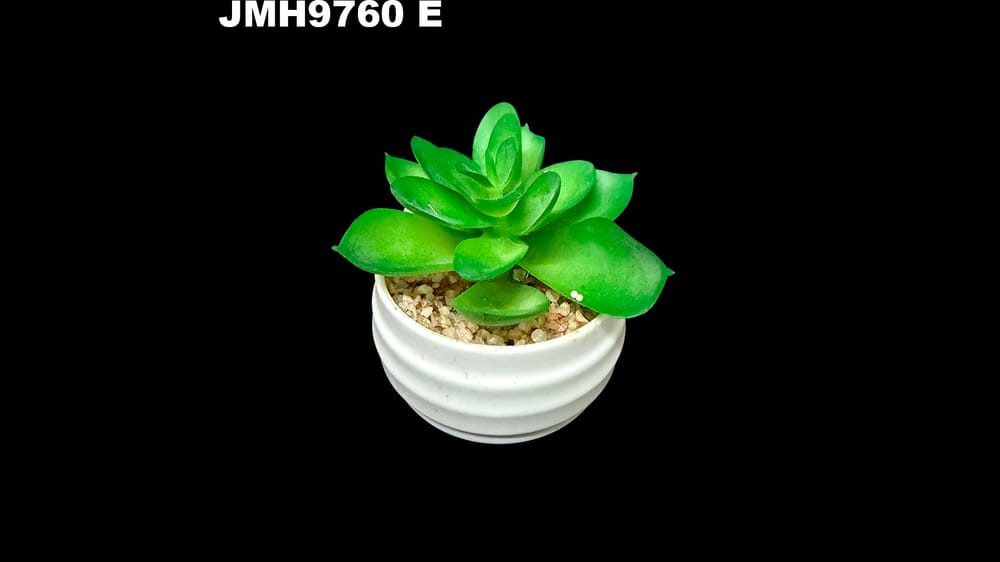 Macetita de cactus varios modelos. 8 cm aprox E