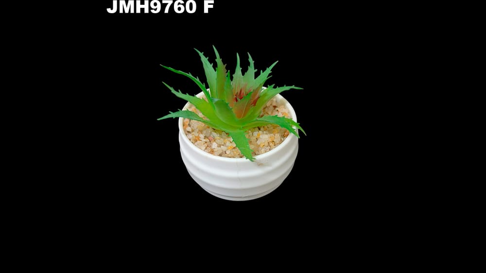 Macetita de cactus varios modelos. 8 cm aprox F