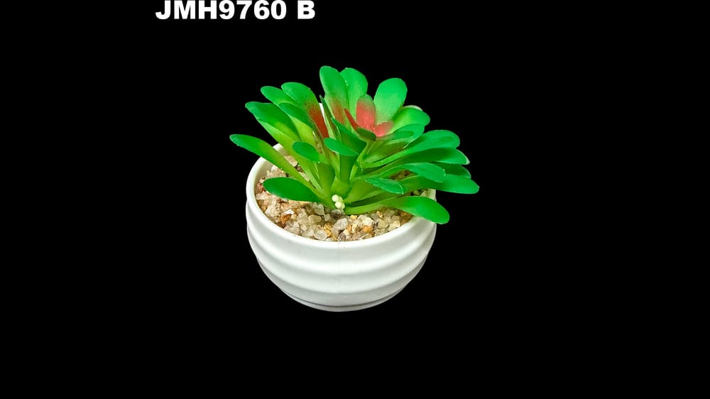 Macetita de cactus varios modelos. 8 cm aprox B