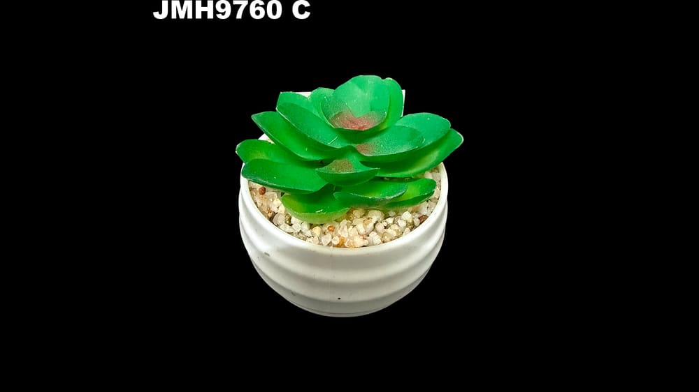 Macetita de cactus varios modelos. 8 cm aprox C