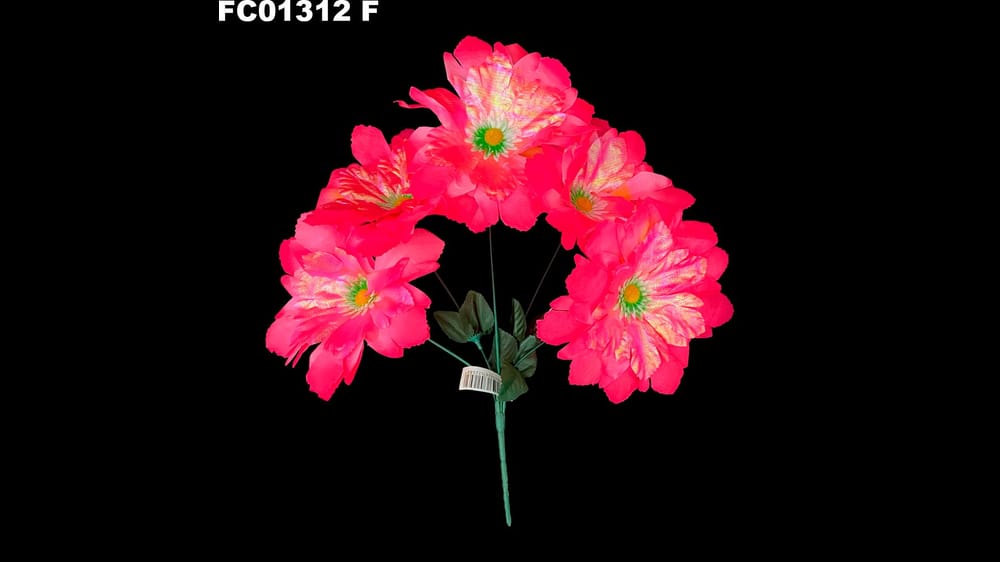 Ramito dhalia tornasol *5  F