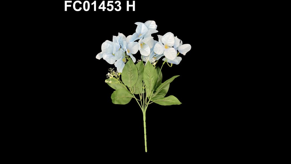 Ramo bigambilia *5 H