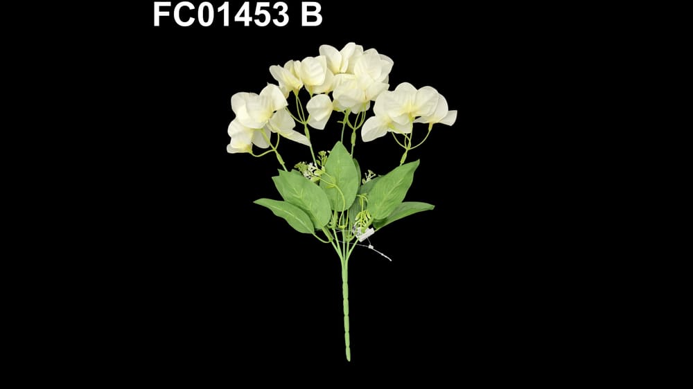 Ramo bigambilia *5 B