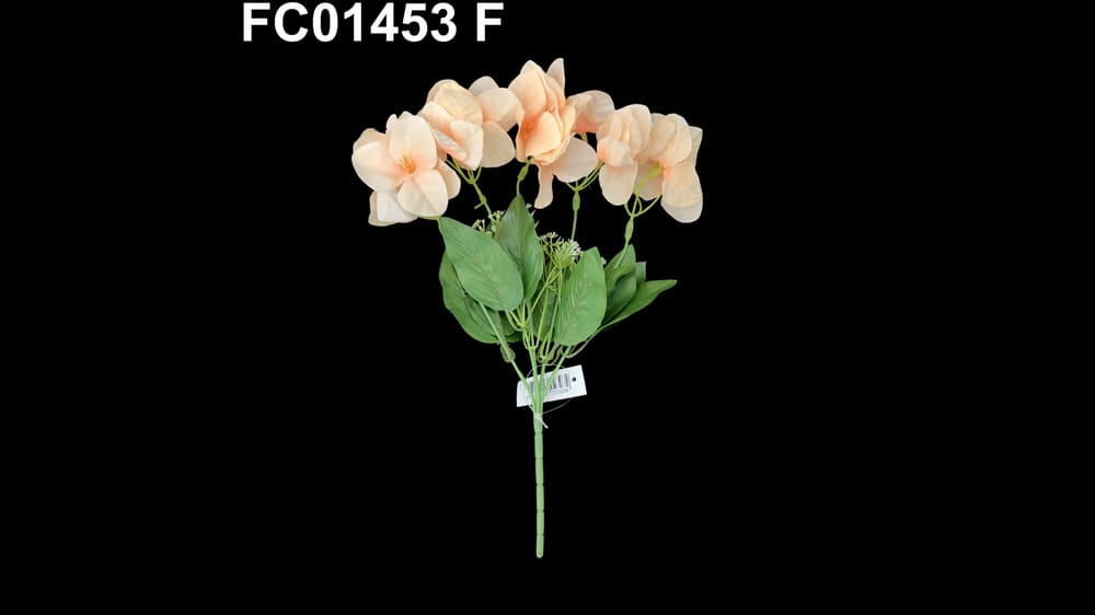 Ramo bigambilia *5 F