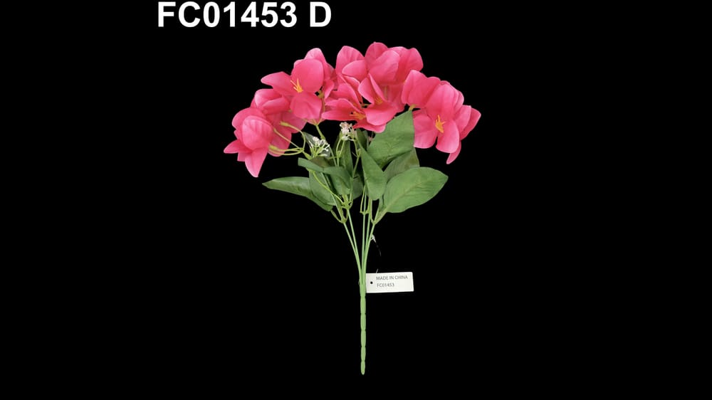 Ramo bigambilia *5 D