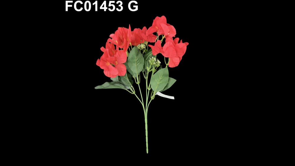 Ramo bigambilia *5 G