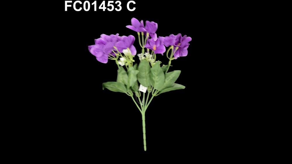 Ramo bigambilia *5 C