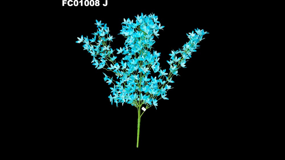 Ramo de flor estrella *5 J