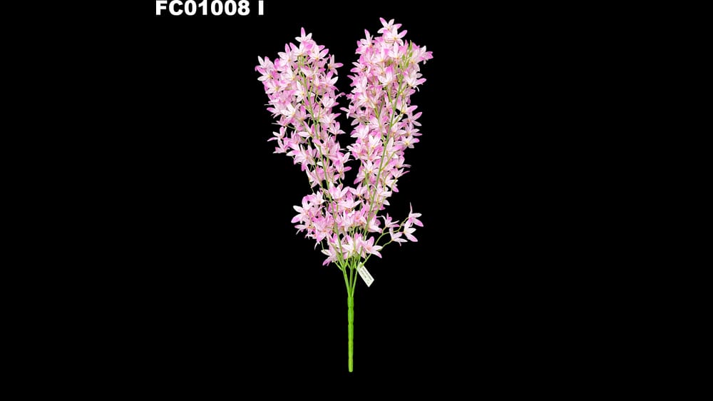 Ramo de flor estrella *5 I