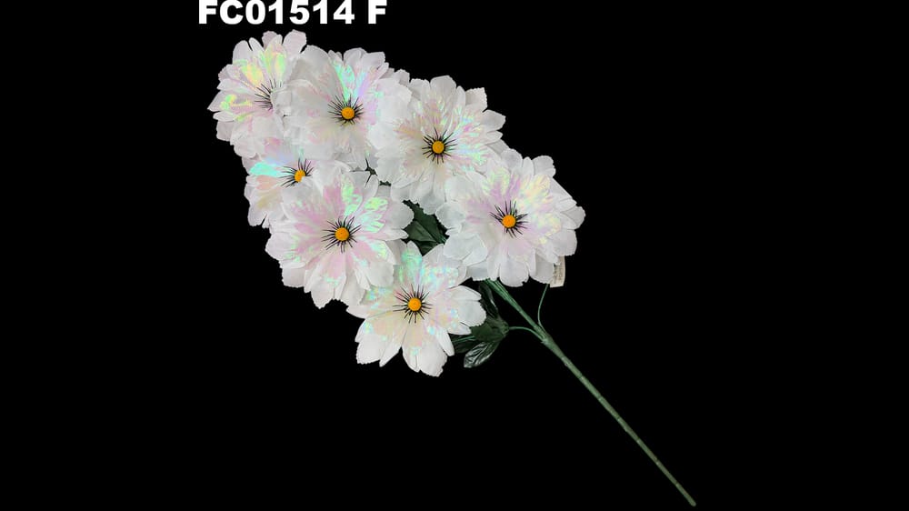 Ramo grande dhalia tornasol *7 F