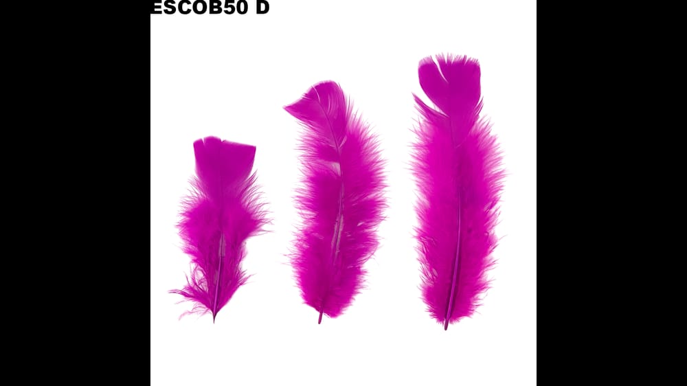 Pluma escobeta bolsa de 50 g D