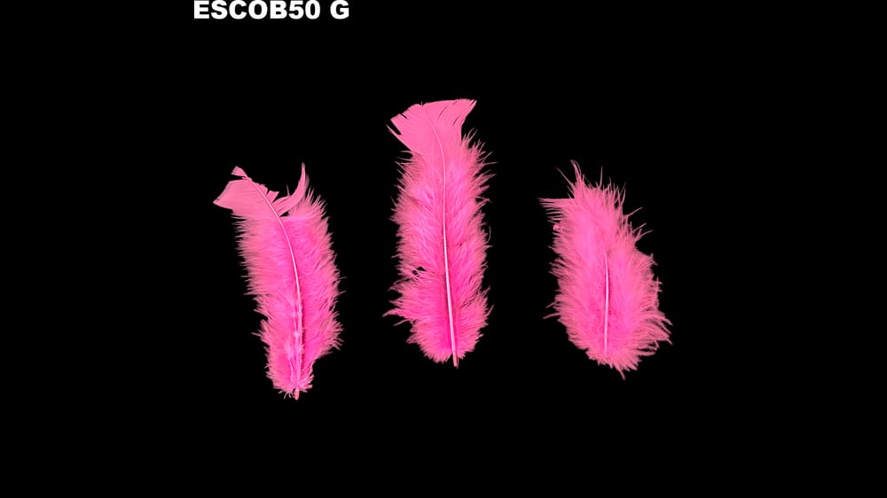 Pluma escobeta bolsa de 50 g G
