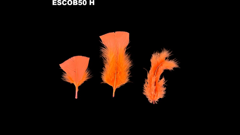 Pluma escobeta bolsa de 50 g H