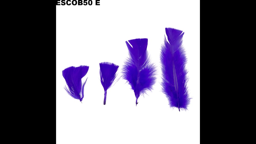 Pluma escobeta bolsa de 50 g E
