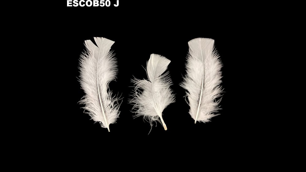 Pluma escobeta bolsa de 50 g J